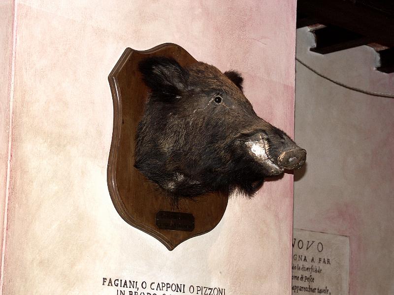 PICT0157.JPG - A boar's head on wall at Trattoria Za-Za at Piazza Mercato Centrale Firenze