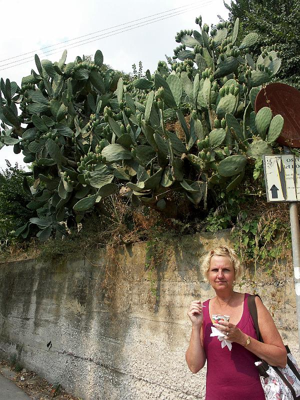 PICT0702.JPG - Ancient ruins in Casale, cactus fruit